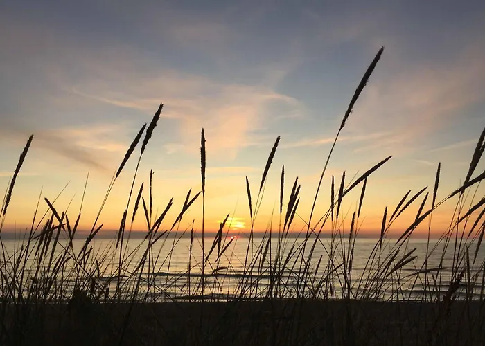 Modern And Stylish Summer Vejby