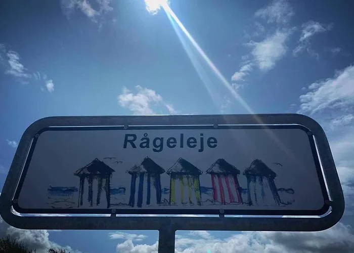 Modern And Stylish Summer