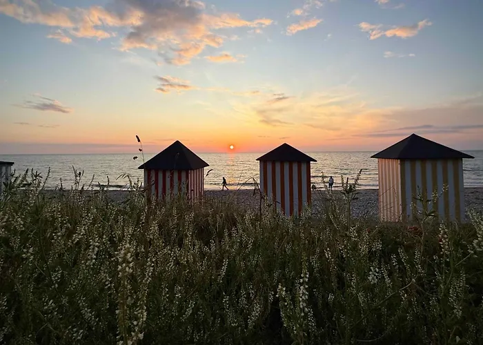 Modern And Stylish Summer